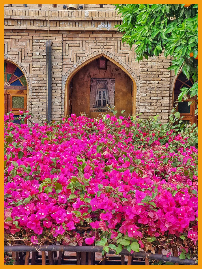 Shiraz Hostel