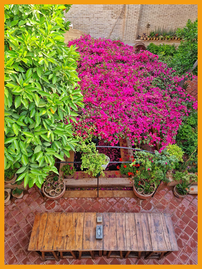Shiraz Hostel